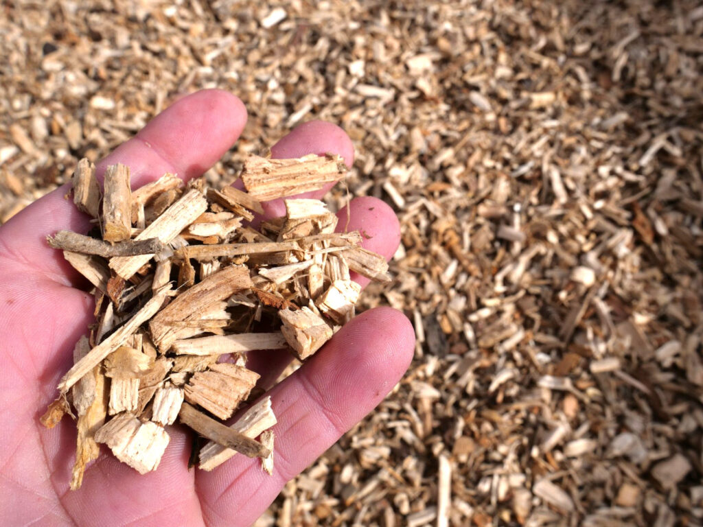 wood chip for sale