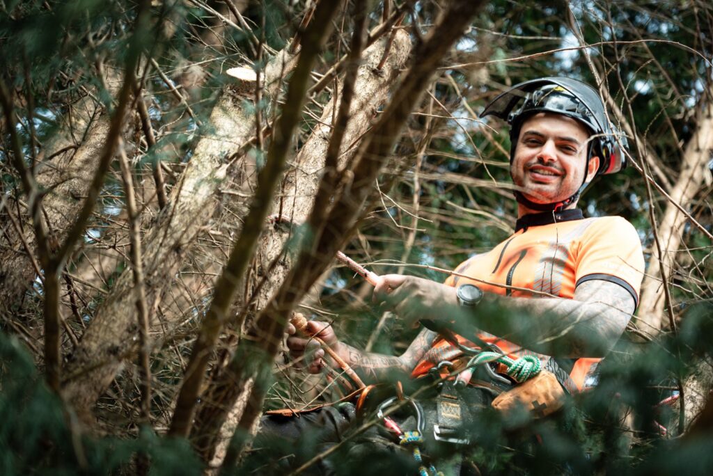 tree surgeon in a tree