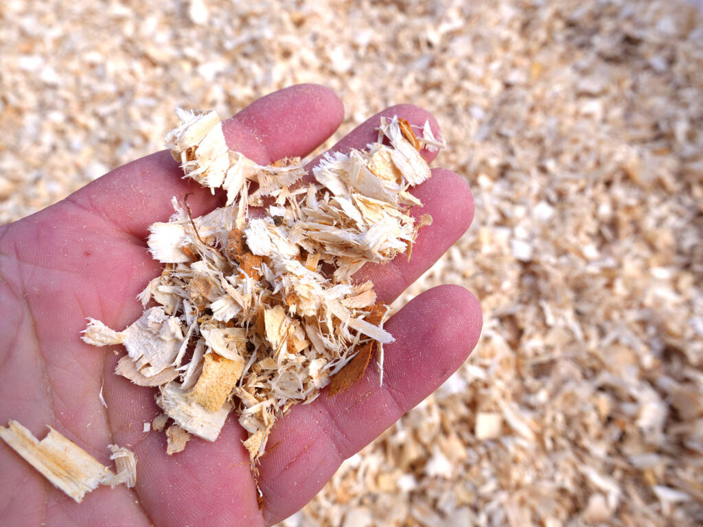 wood shavings