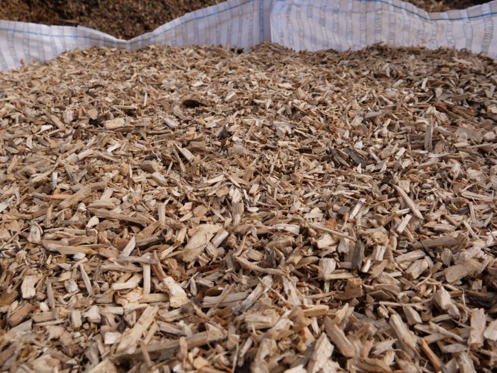 biomass wood chip for sale