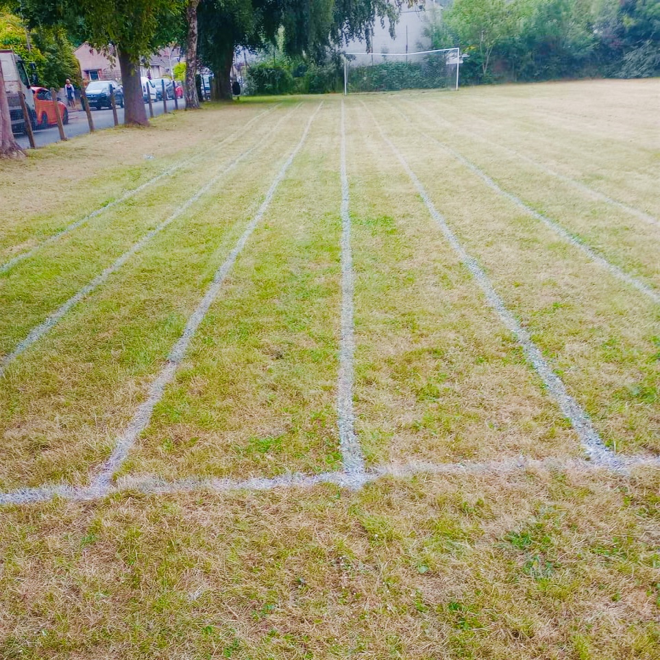 grass lines